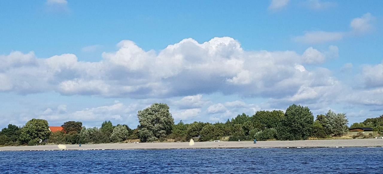 Zum Lachsfischer Schaprode Eksteriør bilde